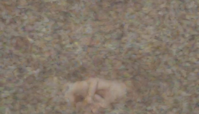 5 gatilhos mentais que afetam decisões no cassino